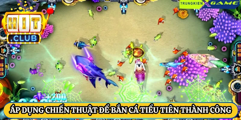 Áp dụng chiến thuật để bắn cá tiểu tiên thành công