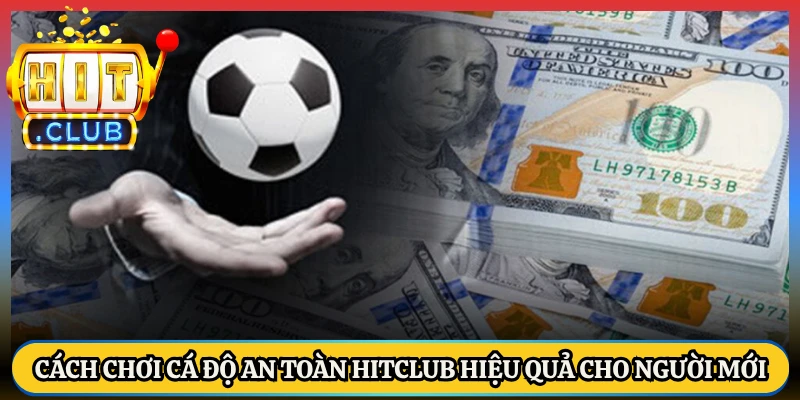 Cách Chơi Cá Độ An Toàn HitClub Hiệu Quả Cho Người Mới