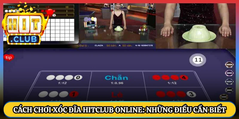 Cách Chơi Xóc Đĩa HitClub Online: Những Điều Cần Biết