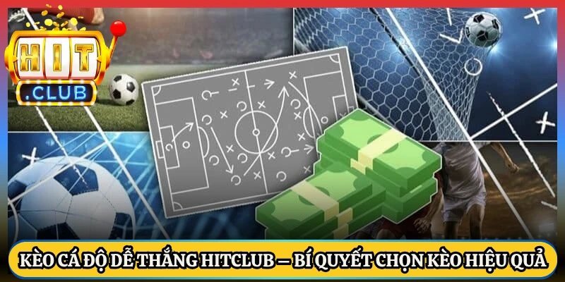 Kèo Cá Độ Dễ Thắng HitClub – Bí Quyết Chọn Kèo Hiệu Quả