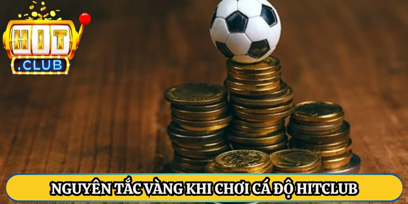 Nguyên tắc vàng khi chơi cá độ Hitclub